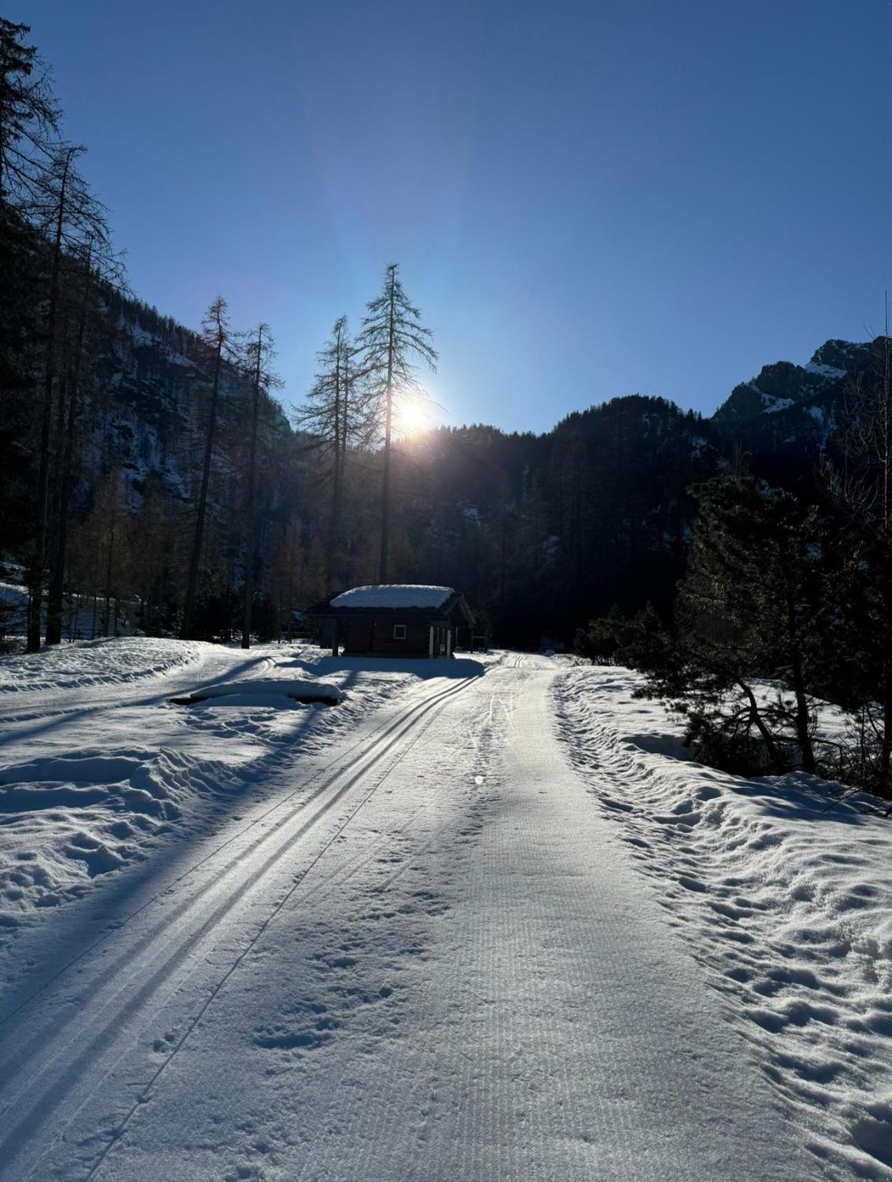 Il Castello Nel Bosco, Appartamento Torrente Champorcher Exterior photo