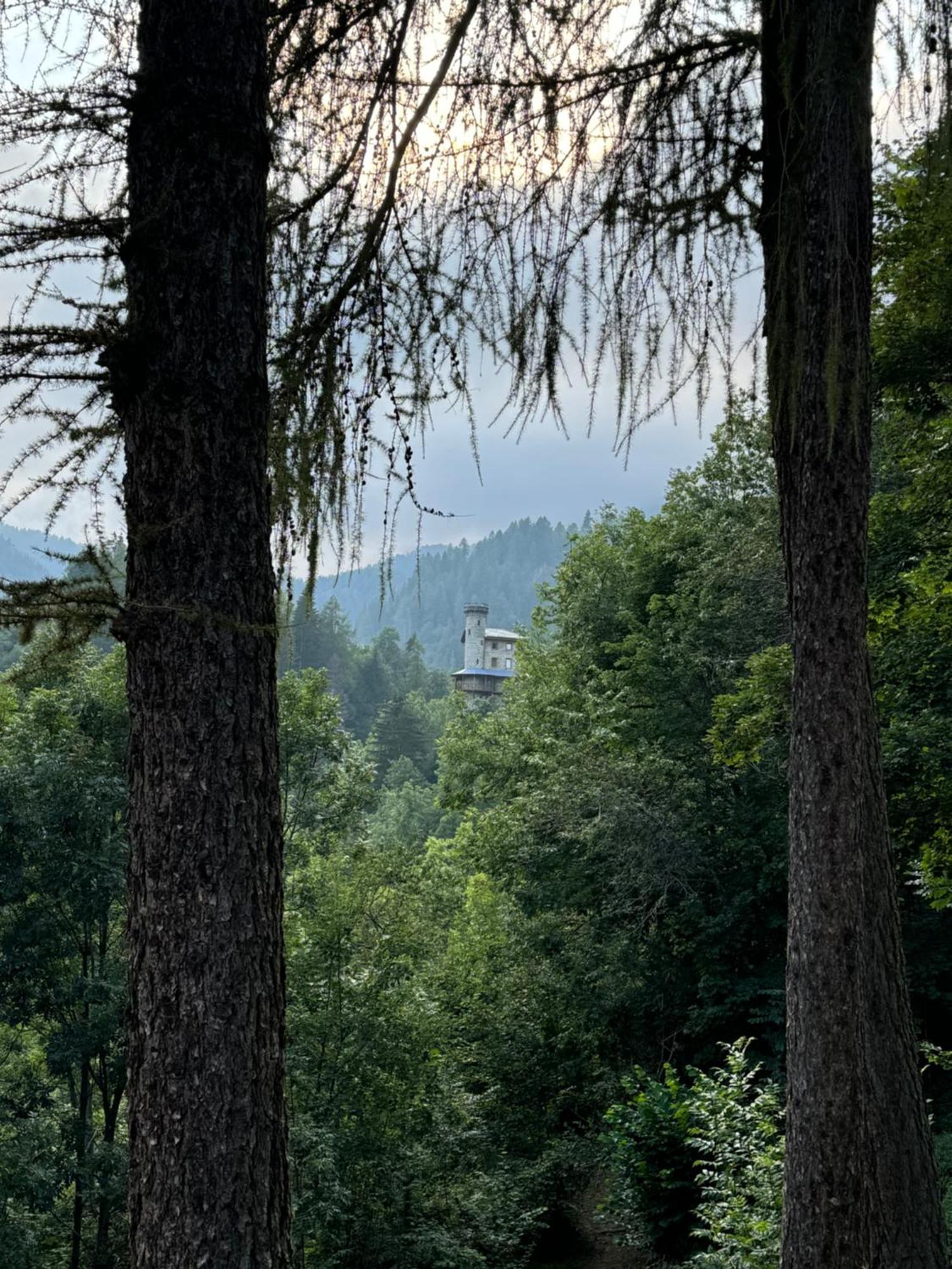 Il Castello Nel Bosco, Appartamento Torrente Champorcher Exterior photo